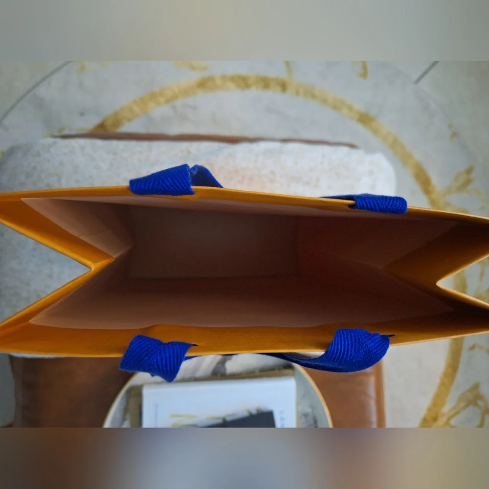 Louis Vuitton Paper Bag
